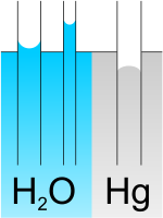 150px-capillarity.svg.png