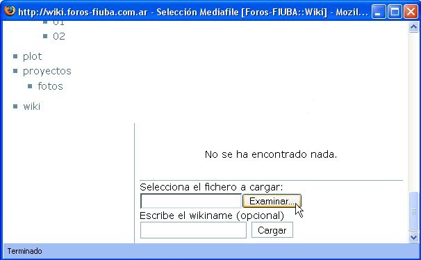 cargaarchivos2.jpg