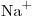 <ce>Na+</ce>