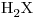 <ce>H2X</ce>
