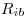 <tex>R_{ib}</tex>