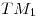 <tex>TM_1</tex> <tex>TM_1</tex>