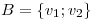 <tex>B= \left\{ v_1; v_2 \right\}</tex>