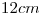 <tex>12 cm</tex>