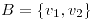 <tex>B=\{v_1,v_2\}</tex>