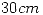 <tex>30cm</tex>