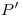 <tex>P'</tex>