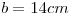 <tex> b=14 cm </tex>