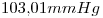 <tex>103.01 mmHg</tex>