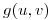 <tex>g(u, v)</tex>