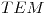 <tex>TEM</tex> <tex>TEM</tex>