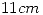 <tex>11 cm</tex>