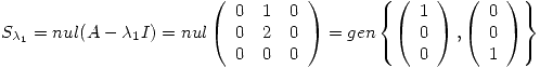 <tex>S_{\lambda_1} = nul(A-\lambda_1 I) = nul \left( \begin{array}{ccc} 0 & 1 & 0 \\ 0 & 2 & 0 \\ 0 & 0 & 0 \end{array} \right) = gen \left\{ \left( \begin{array}{c} 1 \\ 0 \\ 0 \end{array} \right) , \left( \begin{array}{c} 0 \\ 0 \\ 1 \end{array} \right) \right\} </tex>