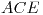 <tex>ACE</tex>