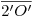 <tex>\overline{2'O'}</tex> <tex>\overline{2'O'}</tex>