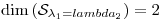 <tex>\mathrm{dim} \left( \mathcal{S}_{\lambda_1=lambda_2}\right) = 2</tex>