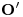 <tex>\mathbf{O'}</tex>