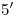 <tex>5'</tex> <tex>5'</tex>