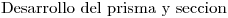 <tex>\mbox{Desarrollo del prisma y seccion }</tex>