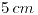 <tex>5\,cm</tex>
